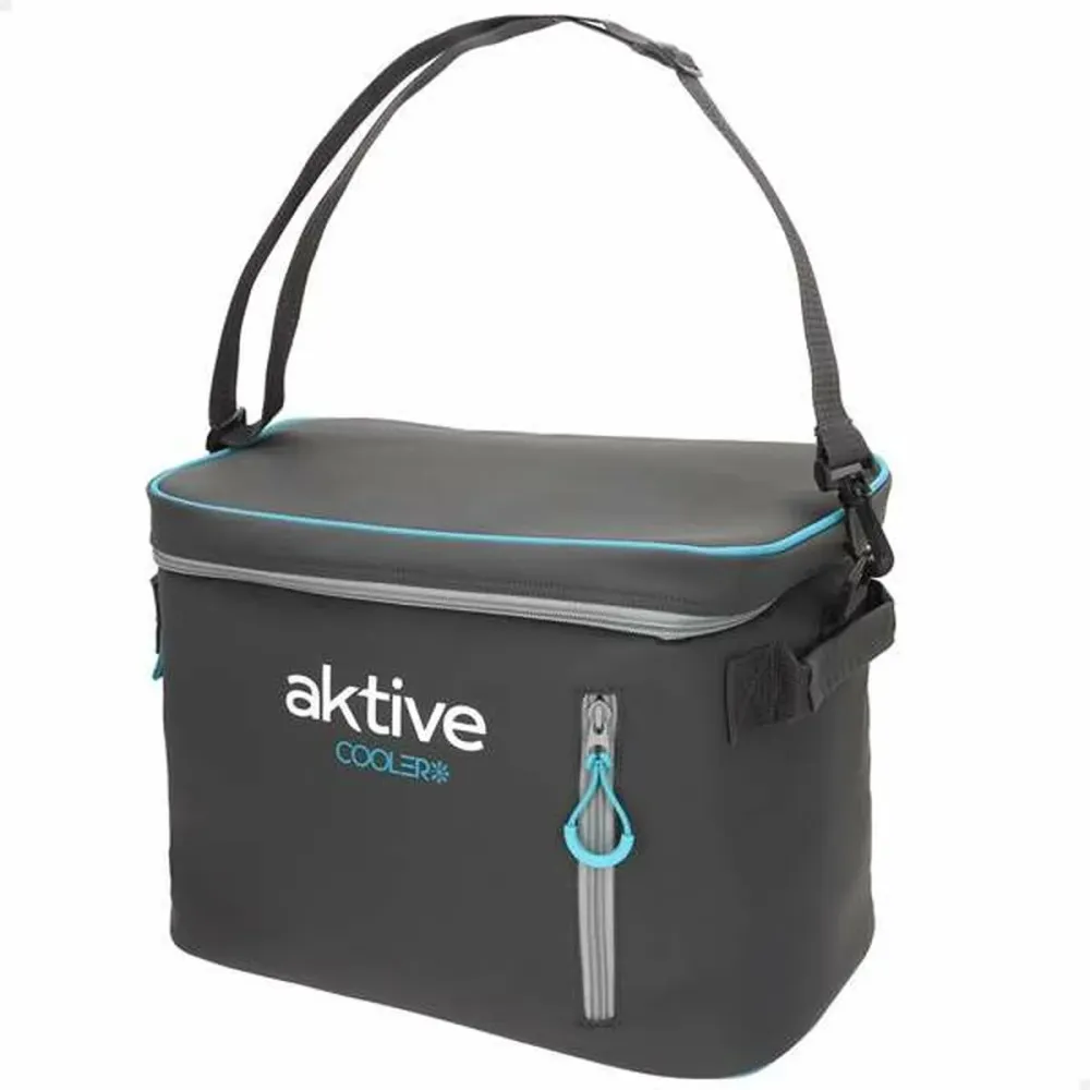 Frigo Portatile Aktive 18 L 34 x 21 x 26 cm
