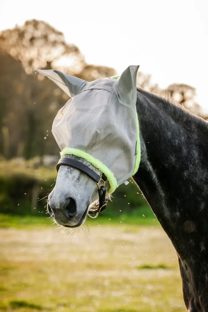 Amigo Maschera antimosche Silver / Lime P