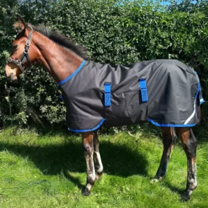 Amigo Ripstop 900D coperta da paddock per puledri 50g Black/Classic Blue 60