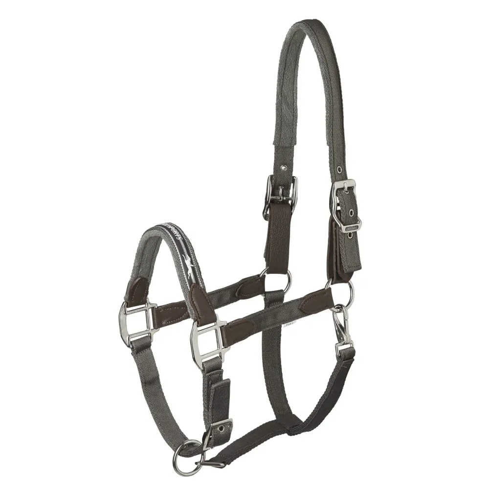 Archetto di sicurezza Memphis Anthracite P