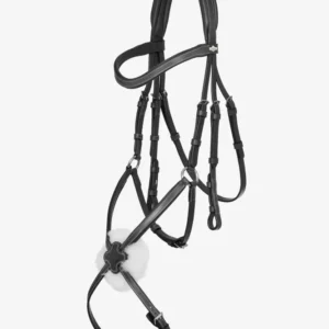 Arika Briglia grackle Black/Silver C