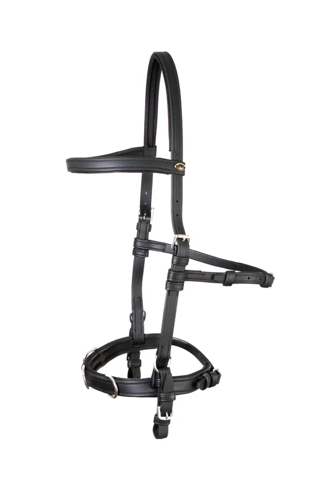 Articoli F.R.. Freedom Riding cavezzina Koyla Black C