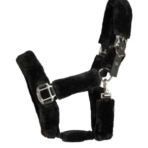 Audrey cavezza black P