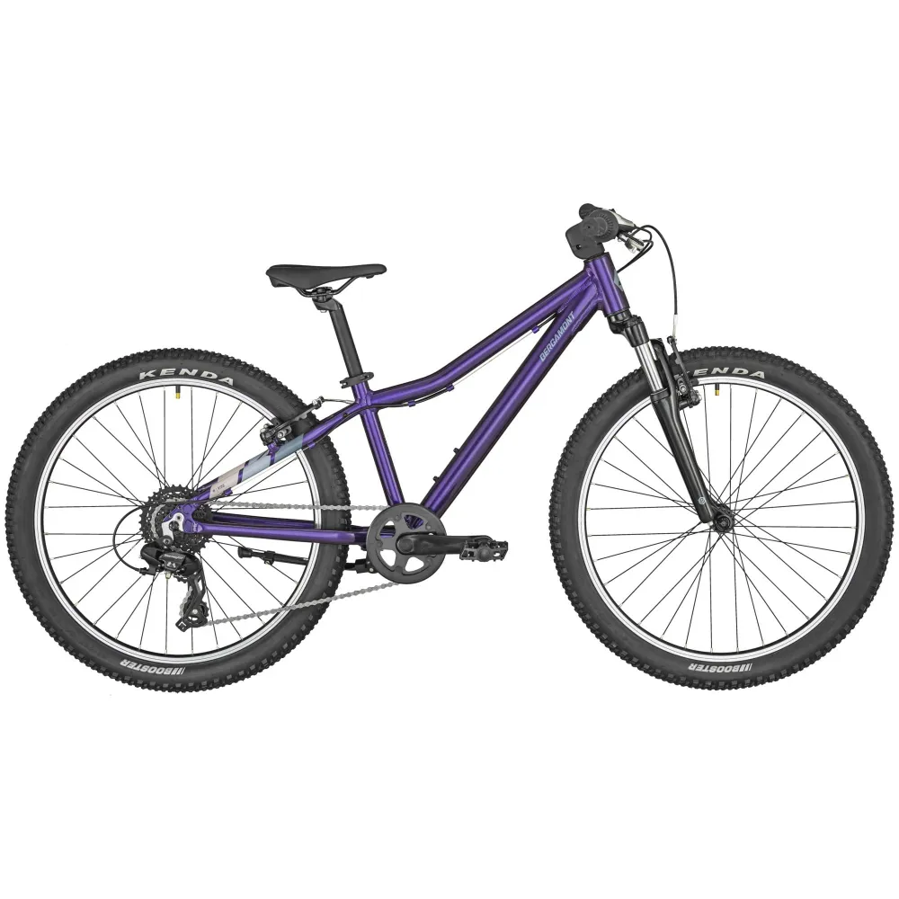 Bergamont Revox 24" Purple