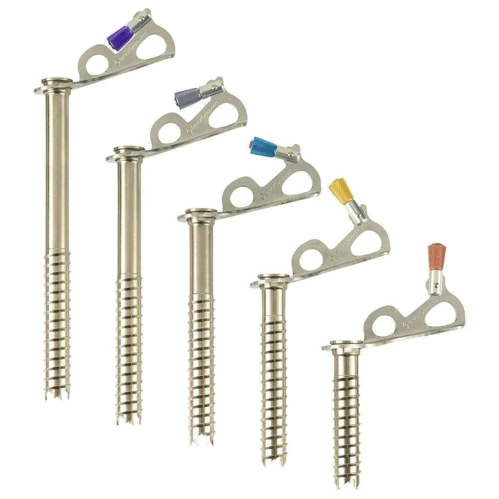 Express Ice Screw 10 Black Diamond
