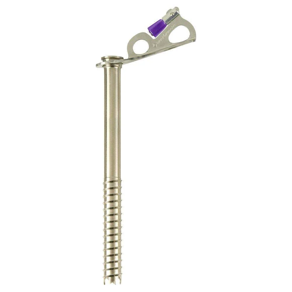 Express Ice Screw 10 Black Diamond