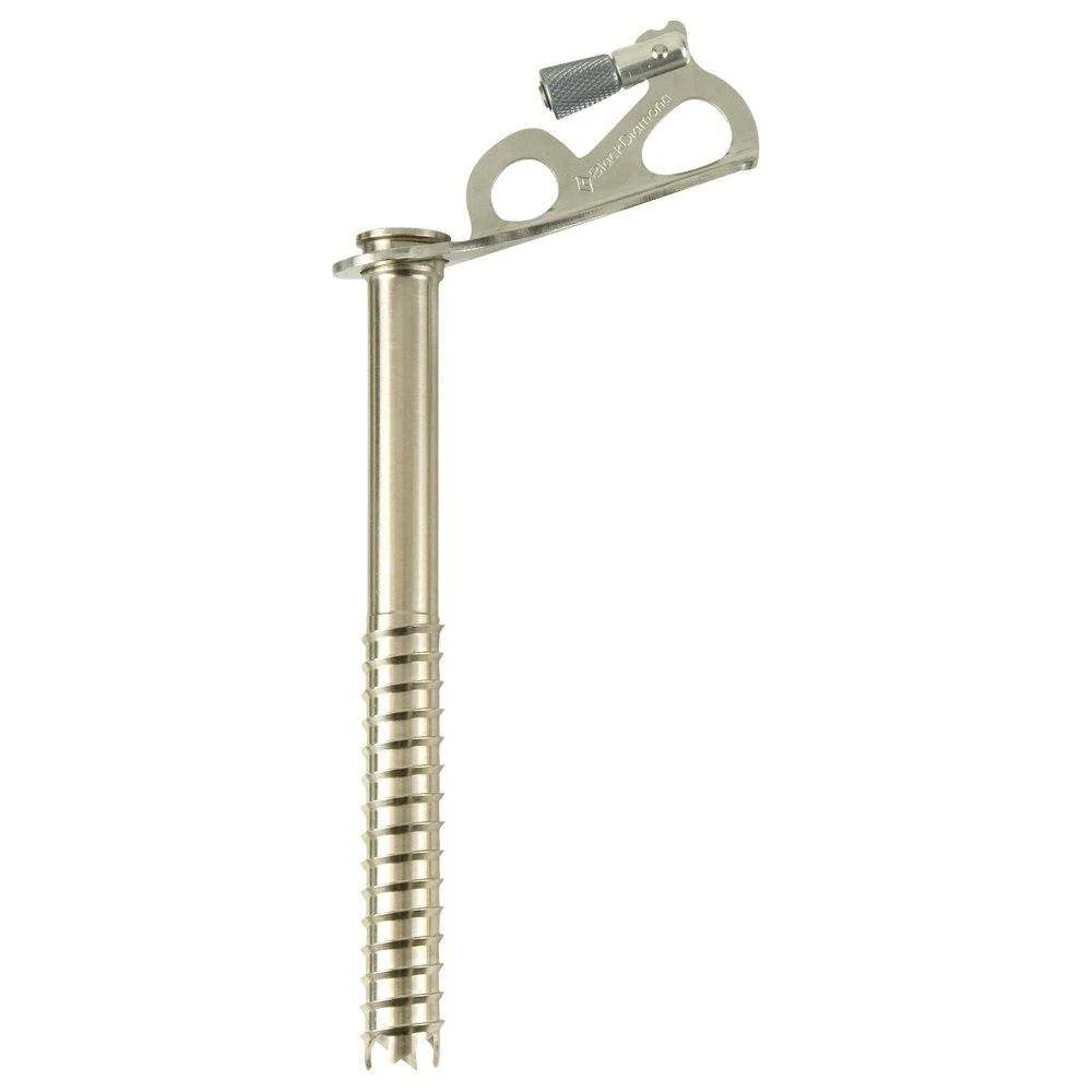 Express Ice Screw 10 Black Diamond