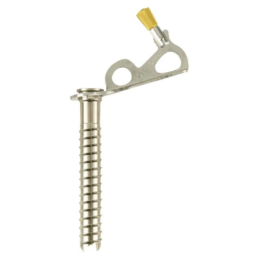 Express Ice Screw 10 Black Diamond