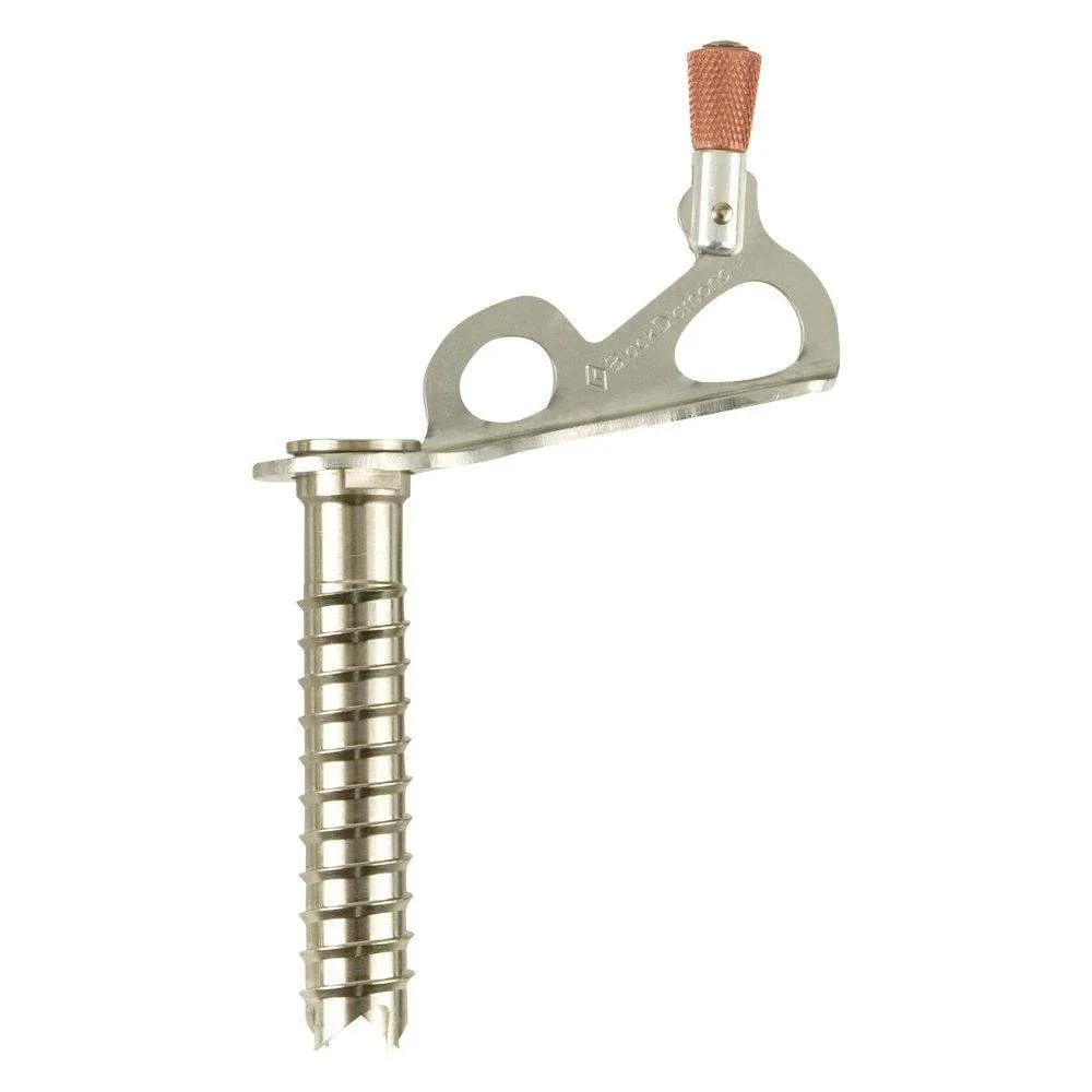 Express Ice Screw 10 Black Diamond