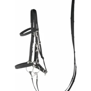 Briglia e capezza del cavallo di Harry Black C