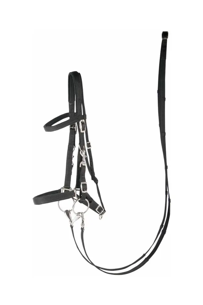 Briglia e capezza del cavallo di Harry Black C