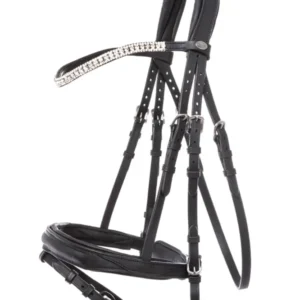 Briglia Everness Black C