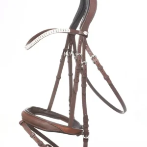 Briglia Everness Brown C