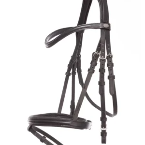 Briglia Quentin Ecoline, capezzina flash Black P