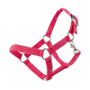 capezza nylon Pink Taglia unica