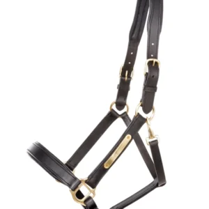capezzina cuoio Cinta black/black C