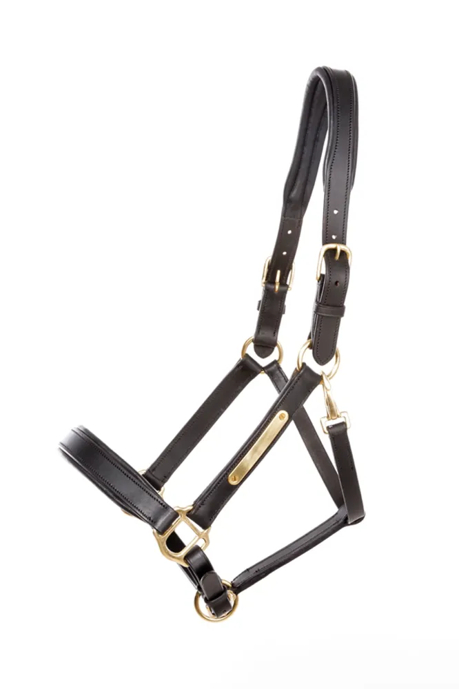 capezzina cuoio Cinta black/black C