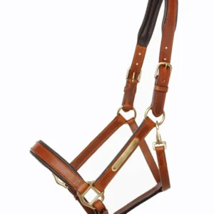 capezzina cuoio Cinta cognac/brown C
