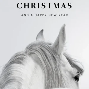 Carta Regalo Horze Buon Natale e felice anno nuovo 40 €