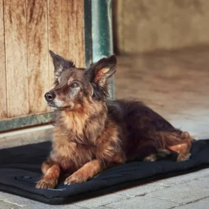 CATAGO FIR-Tech Pro Heatable Dog Pillow Black Taglia unica