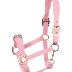 CAVALPAWEL cavezza Powder Pink F