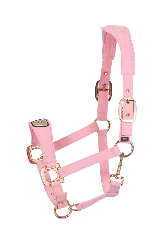 CAVALPAWEL cavezza Powder Pink F
