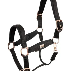 cavezza con finiture oro rosa Black X-Full