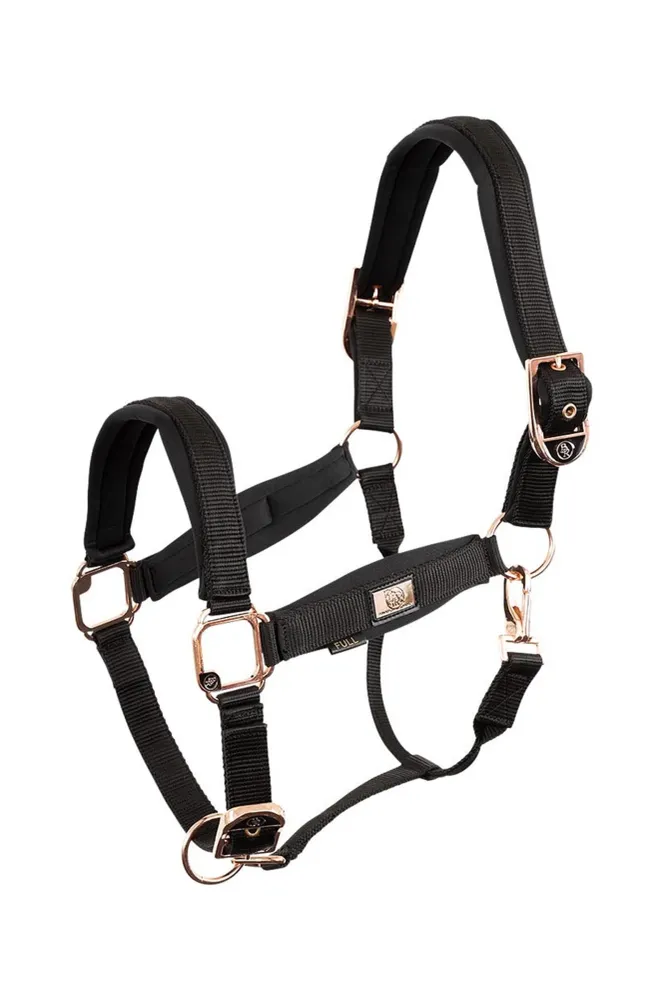 cavezza con finiture oro rosa Black X-Full