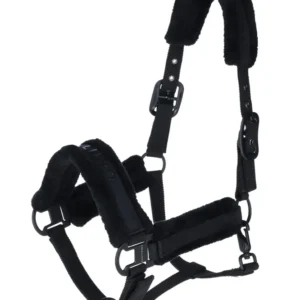 Cavezza Imbottita Black C