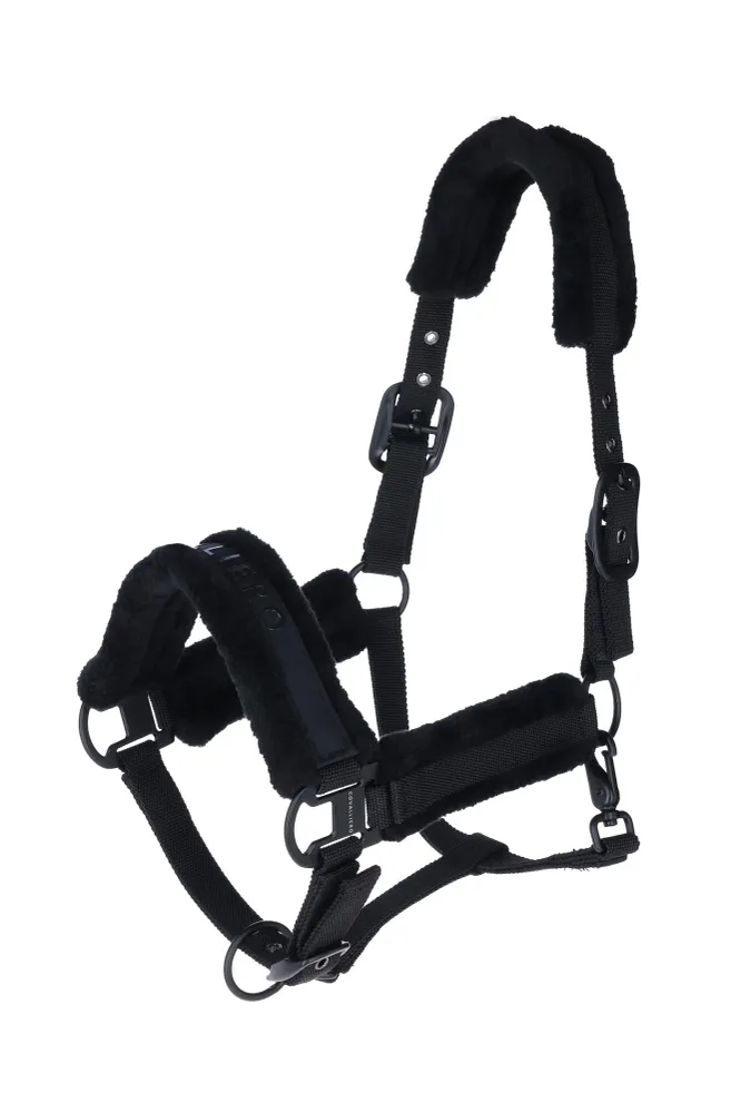 Cavezza Imbottita Black C