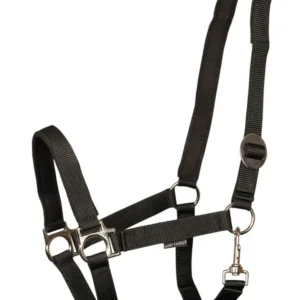 Cavezza imbottita di cavallo di Harry Black SHP