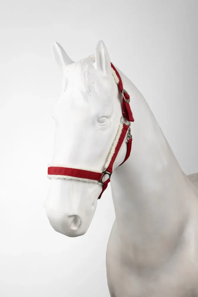 cavezza di Natale Dark Red SHP