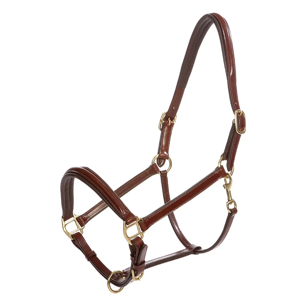 cavezza pelle Charming P