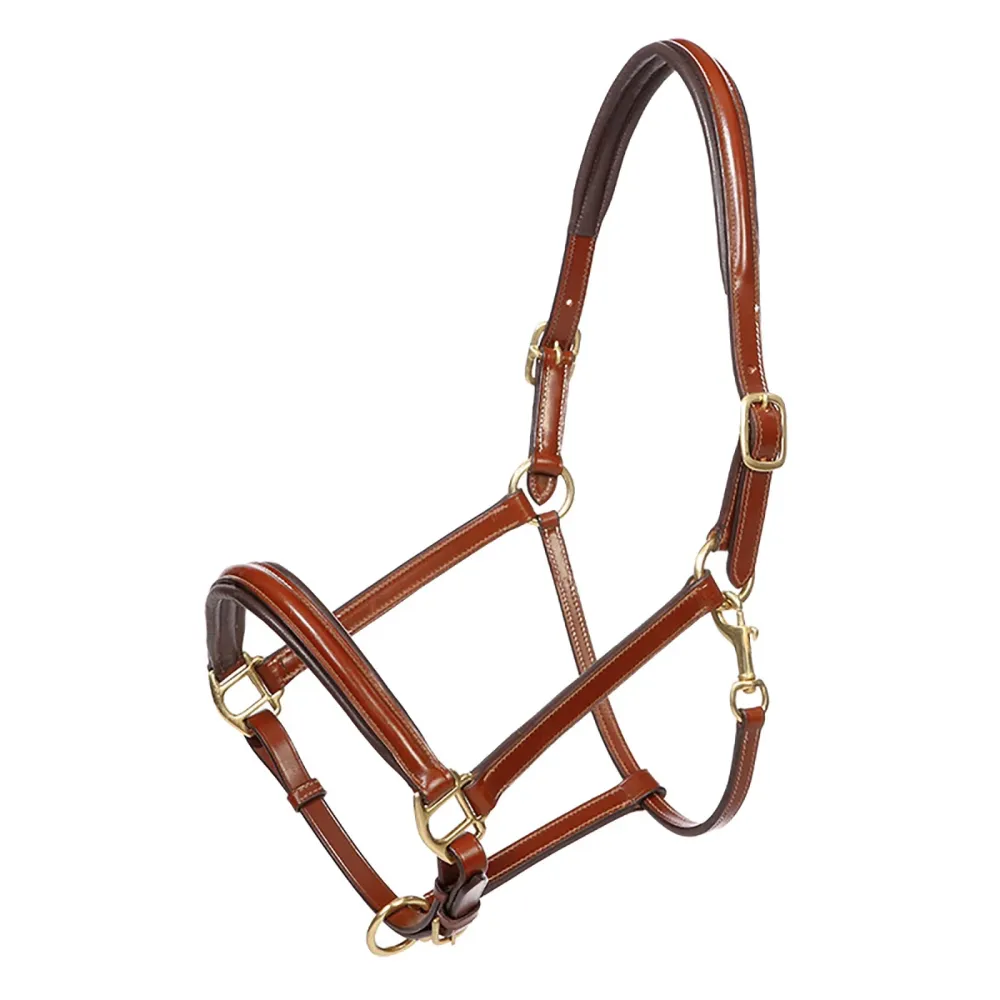 cavezza pelle Charming P