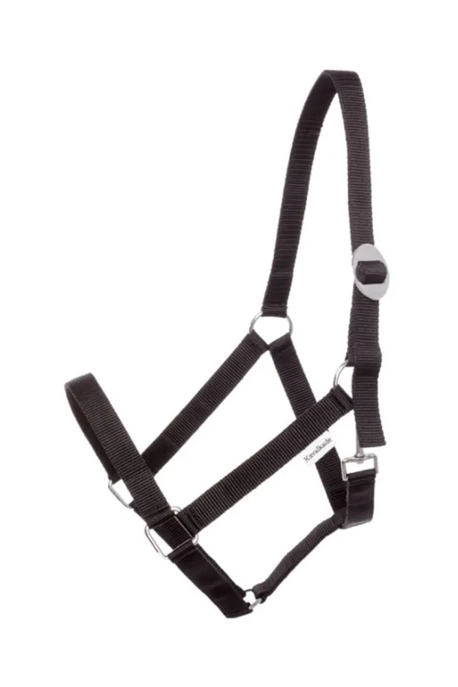 Cavezza semplice Kavalkade Black P