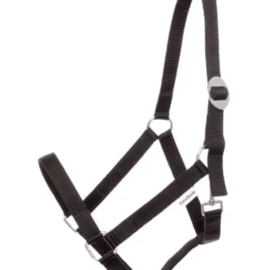 Cavezza semplice Kavalkade Black C