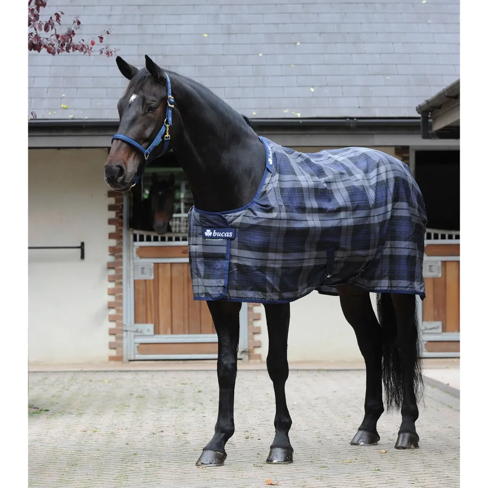 Celtic Coperta da stalla Extra 145