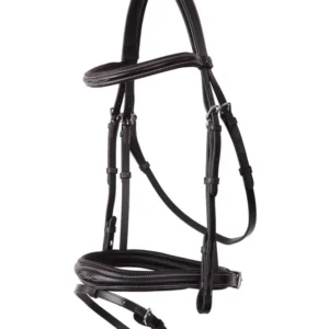 Cheltenham testiera Black/Silver C