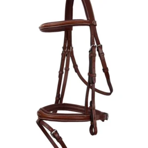 Cheltenham testiera Oak/Silver C
