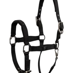 CLX capezza Meteorite C