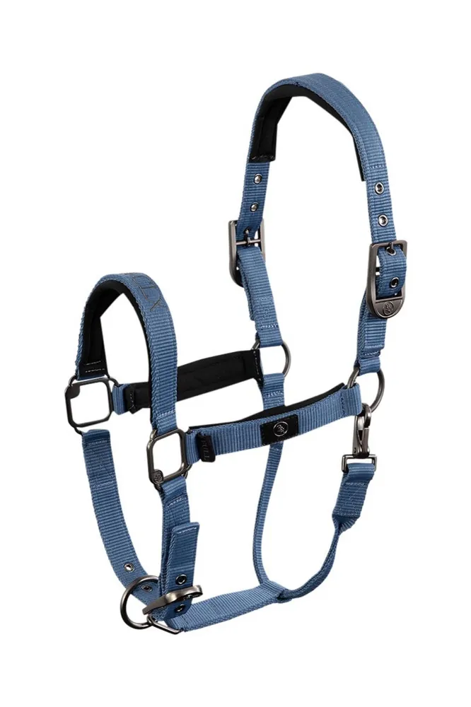 CLX capezza Moonlight Blue F