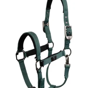 CLX capezza Sea Spine P