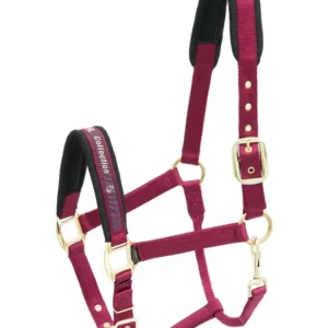 Collarino nylon della collezione Kieffer Burgundy F