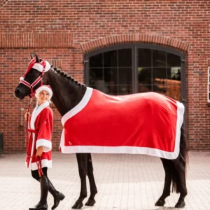 Coperta di Natale Rosso 135