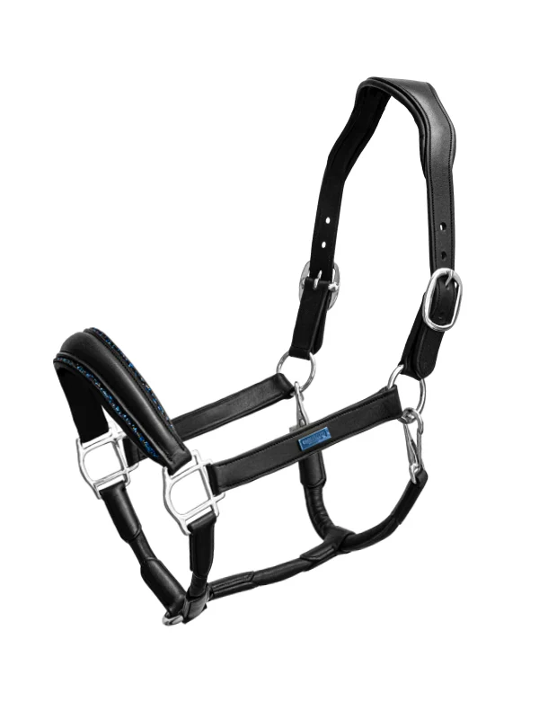 Cavezza Anatomica Pelle Glimmer Blue Meadow Equestrian Stockholm