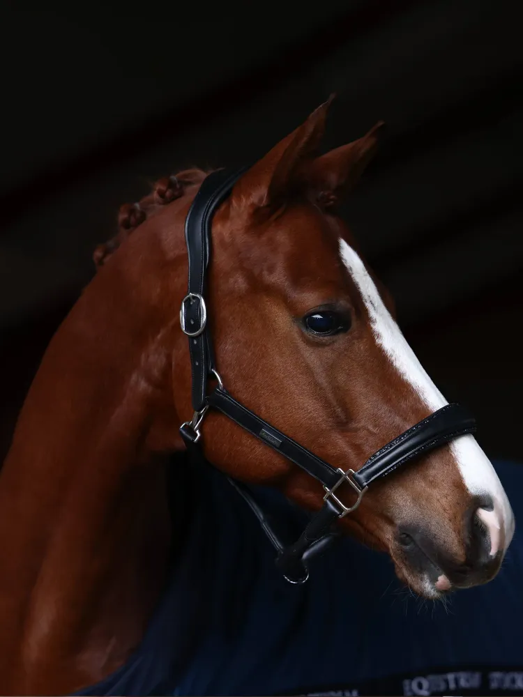 Cavezza Anatomica Pelle Glimmer Blue Meadow Equestrian Stockholm