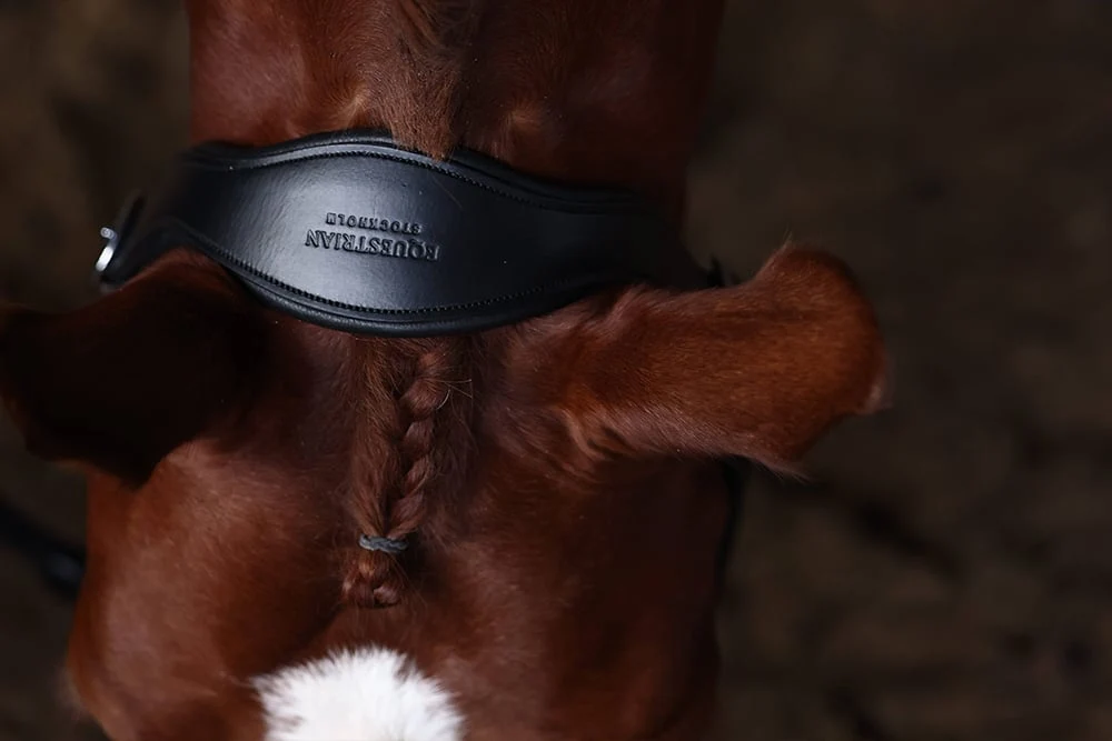 Cavezza Anatomica Pelle Glimmer Blue Meadow Equestrian Stockholm