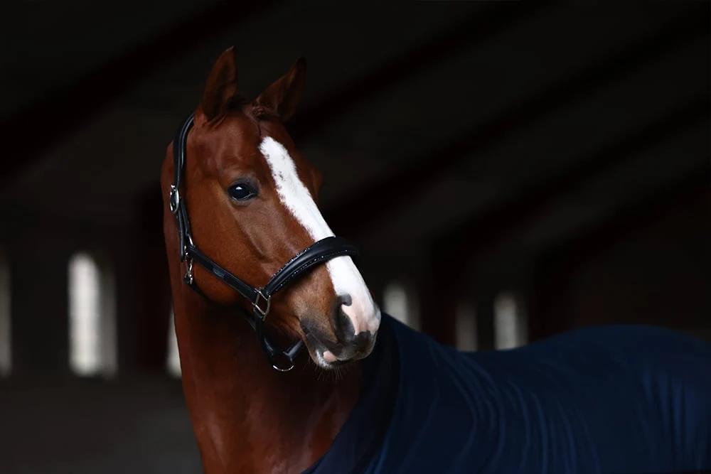 Cavezza Anatomica Pelle Glimmer Blue Meadow Equestrian Stockholm