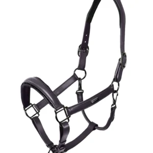 Cavezza Anatomica Pelle Glimmer Dark Violet Equestrian Stockholm