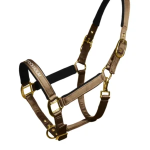 Cavezza Line Champagne Full Equestrian Stockholm